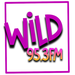 WILD 95.3 FM Logo