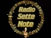 RadioSetteNote Logo