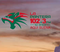 La Pantera 102.3 - K272EK Logo
