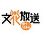 Radio Station logo