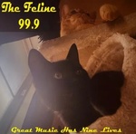 The Feline 99.9 This Kitty Rocks Logo