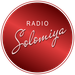 Radio Solomiya Logo