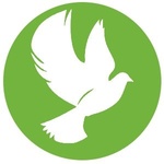 The Life FM - WQTS Logo