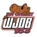 WJDB 95.5 FM - WJDB-FM Logo