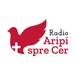 Radio Aripi Spre Cer - Predici Logo