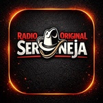 Radio Original Sertaneja Logo
